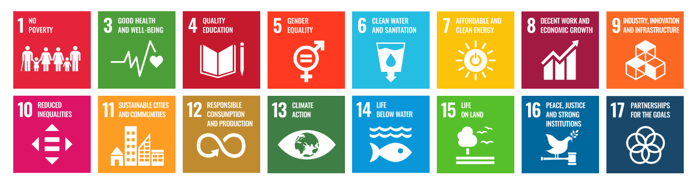 UN sustainable development goals